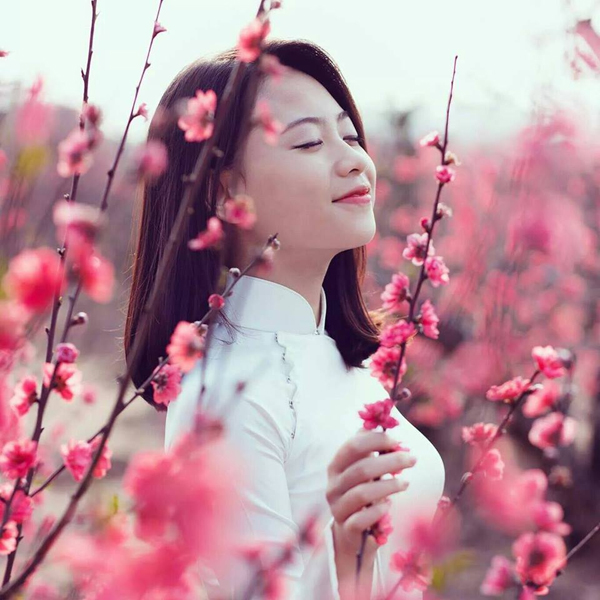 Dự[-]báo[-]thời[-]tiết[-]trước[-]trong[-]và[-]sau[-]Tết[-]Nguyên[-]đán[-]Kỷ[-]hợi
